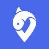 Qvideo